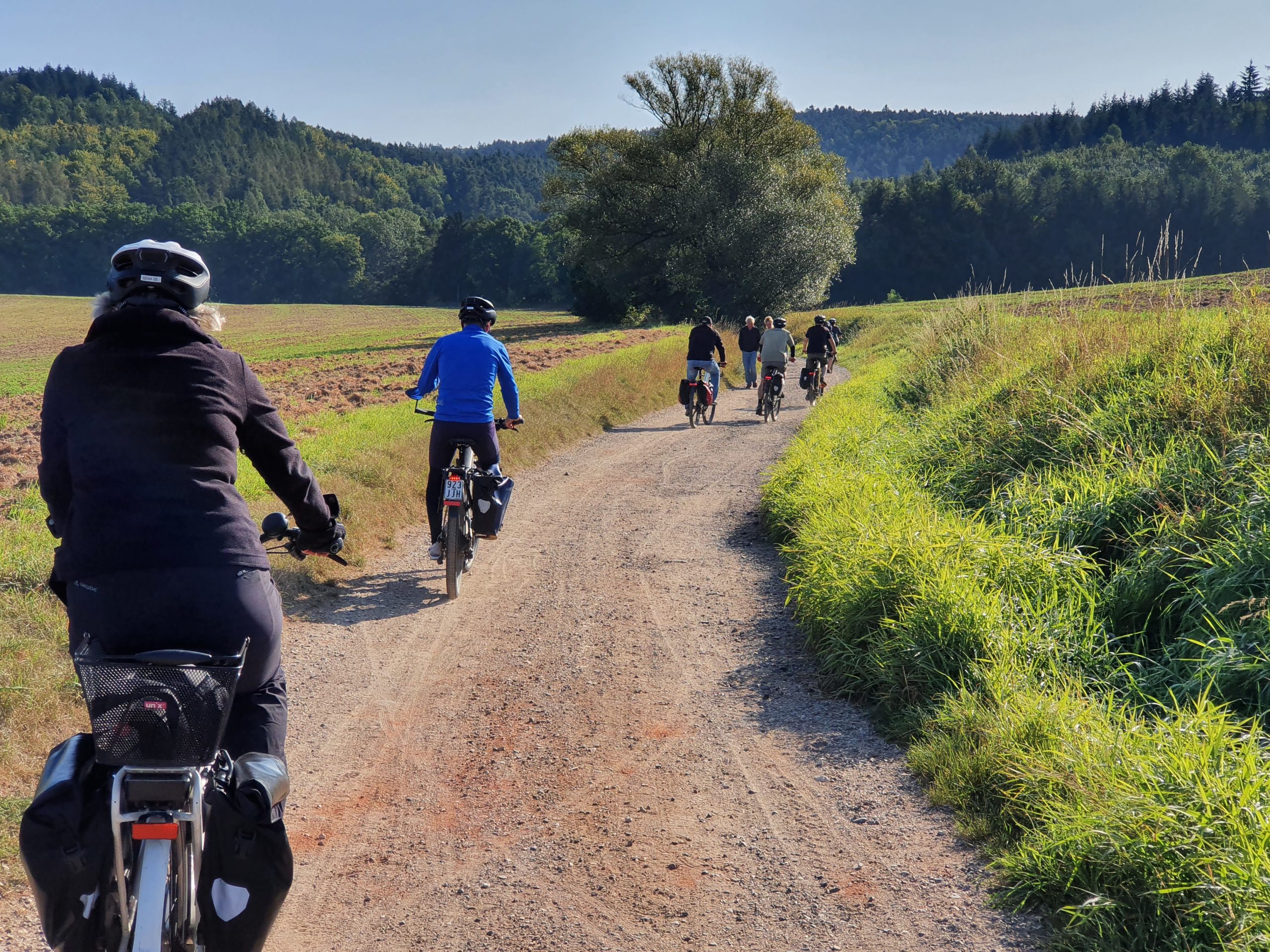 e bike tour regensburg