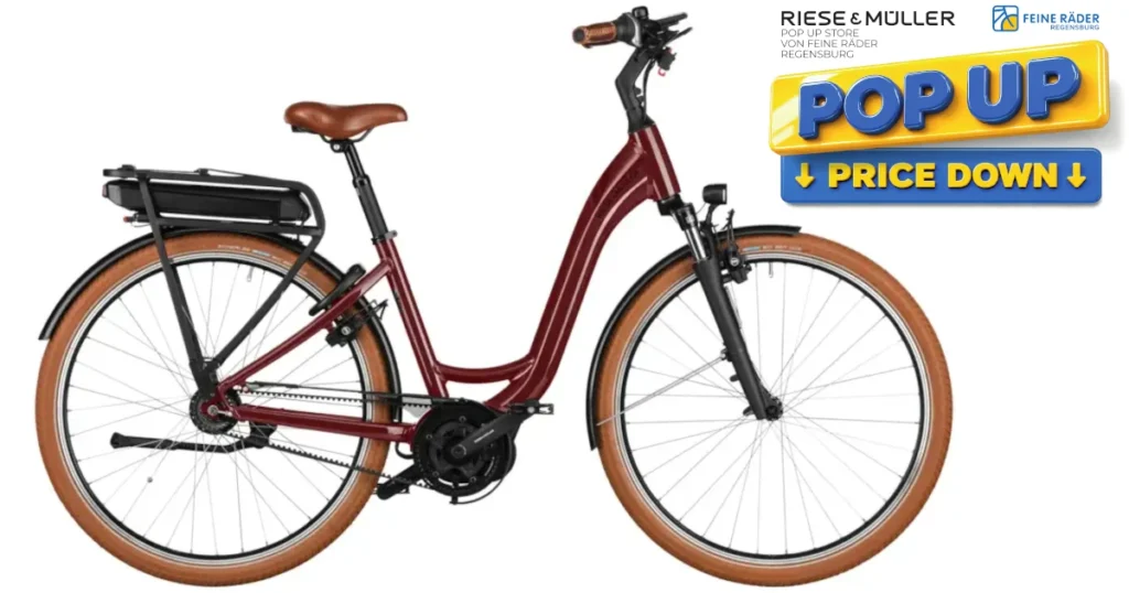 Riese & Müller Swing4 vario Bordeaux in Regensburg